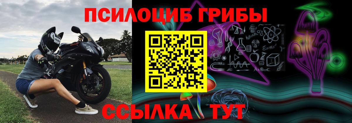 Псилоцибиновые грибы Cubensis Саяногорск